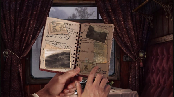 荒野探险(The Wild Case)