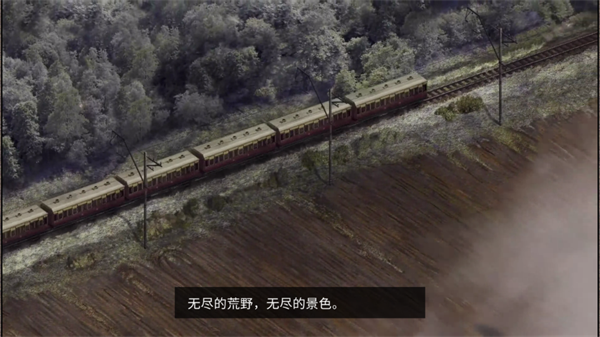 荒野探险(The Wild Case)