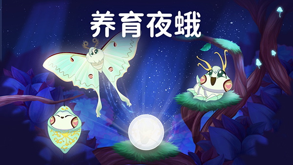 彩翼之星夜