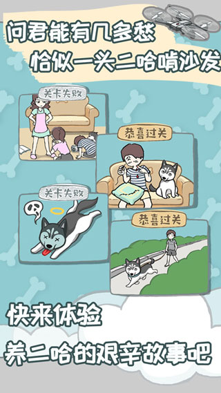 养只二哈不容易手游