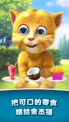 会说话的金杰猫2(Talking Ginger 2)