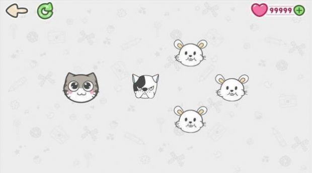 抓住小白鼠(CatchMe)