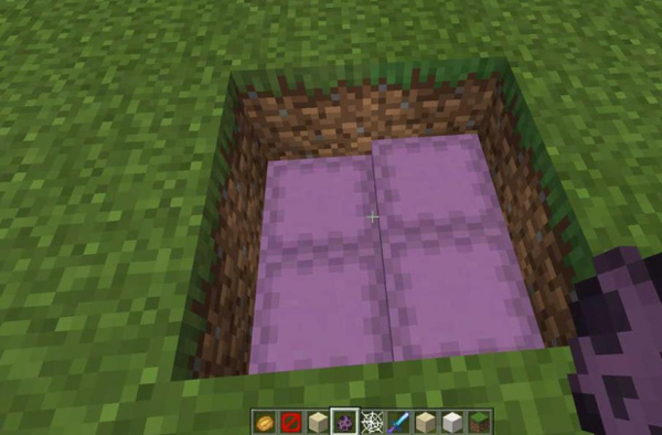 我的世界夏日派对更新版本游戏截图10