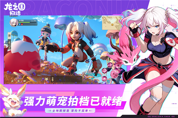 龙之国物语