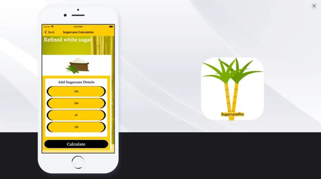 蔗糖职业官方版