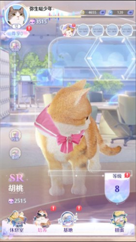 超喵星计划新手入门指南3