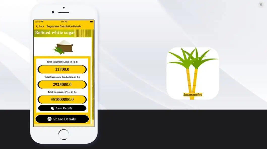 蔗糖职业官方版