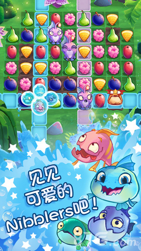 食蔬鱼水果三消