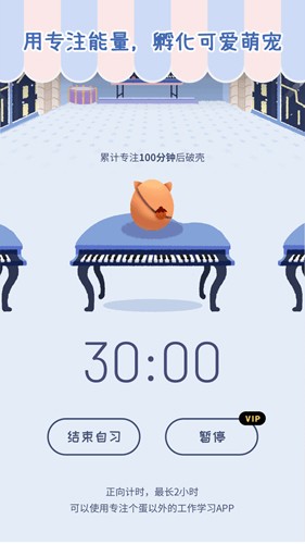 专注个蛋安卓版