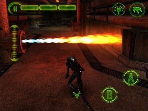 异形大战铁血战士19