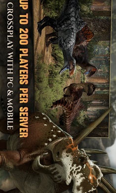 泰坦之路国际服