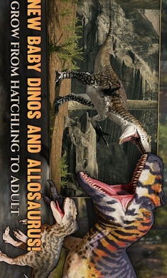 泰坦之路国际服