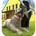 孕犬宠物护理游戏安卓版