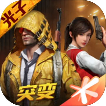 和平精英(国际服)