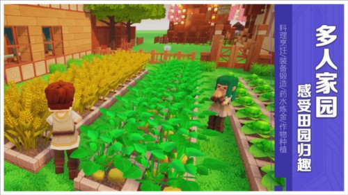 龙与家园时光新手攻略3