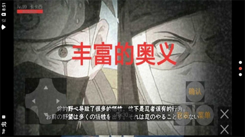 忍者荣耀乱斗游戏