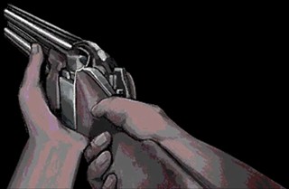 寻找伪人手机版