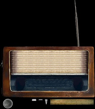 寻找伪人手机版