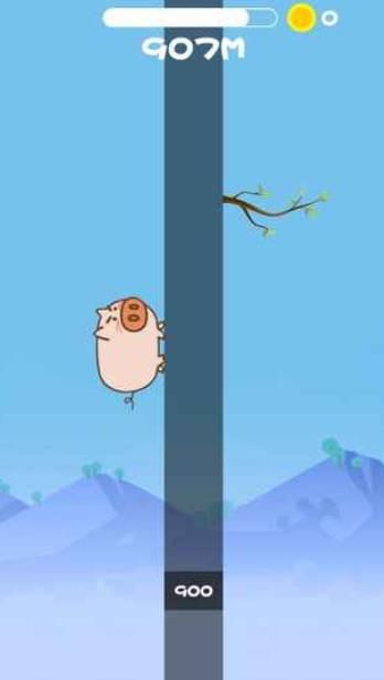 公猪上树之为了爱情最新版