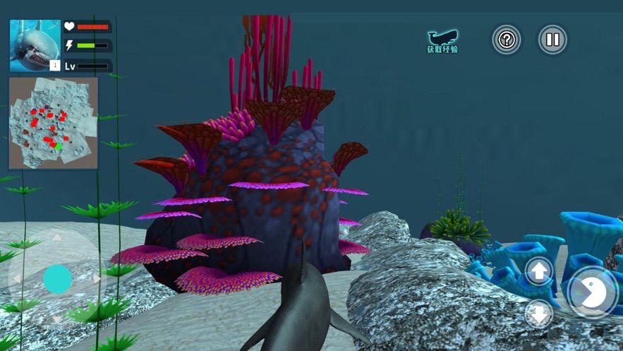 海底大猎杀鲨鱼生存进化游戏ios版