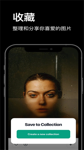 pexels视频素材安卓版