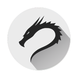 kali linux手机直装版