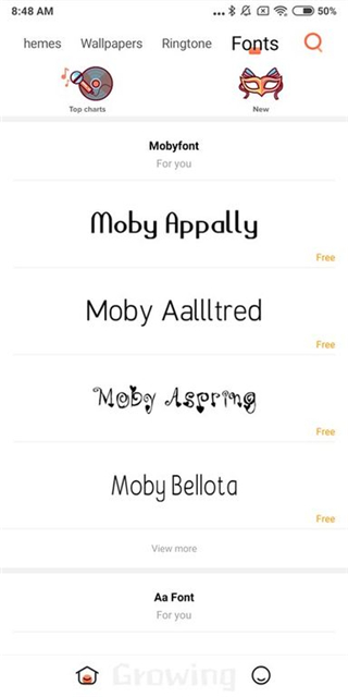 小米主题商店国际版