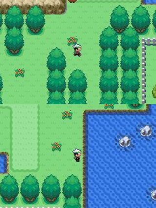 口袋妖怪永恒之沫13