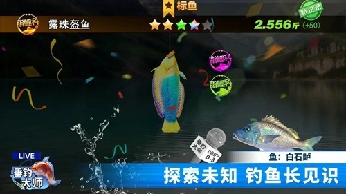 垂钓大师去广告版