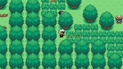 口袋妖怪:永恒之沫