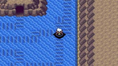 口袋妖怪:永恒之沫