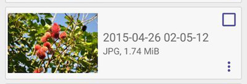 Diskdigger Pro中文版3