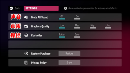 拉力地平线国际服怎么设置图片2