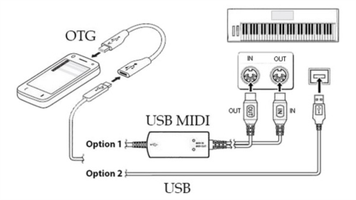 org2023电子琴破解版图片13