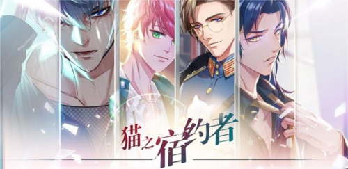 猫之宿约者oppo版