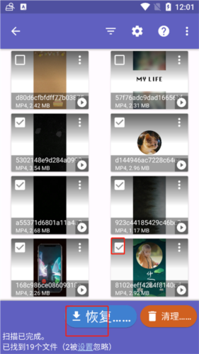 Diskdigger Pro中文版21