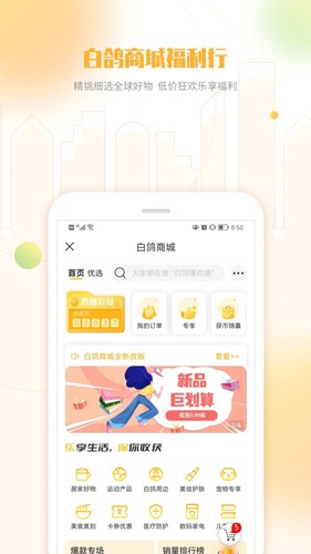 白鸽乐保app