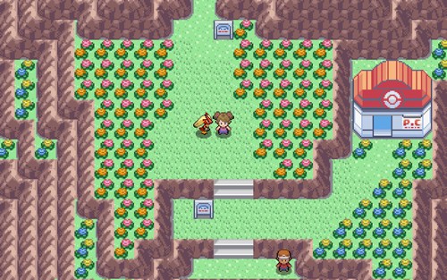 pokemmo手机版ROM语言汉化包