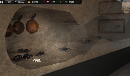 蚂蚁模拟大亨蚂蚁破解版