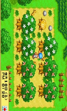 牧场物语精灵驿站