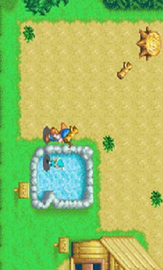 牧场物语精灵驿站