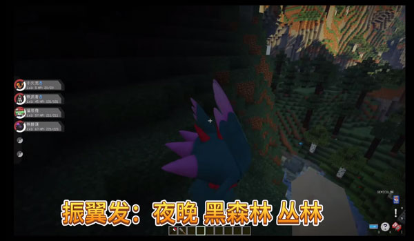 针翼发刷新地点