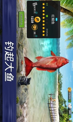 钓鱼冲突国际服