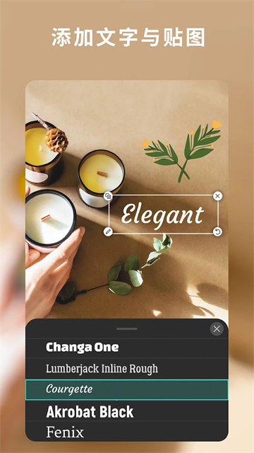 相片大师365破解版