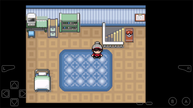 口袋妖怪暗之冰花内置修改器版