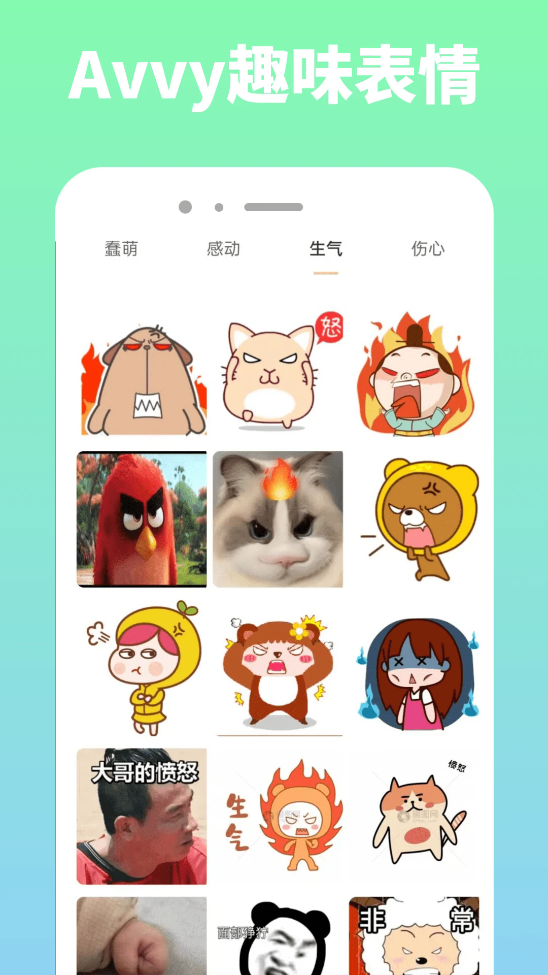 Avvy官方正版