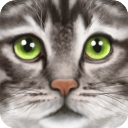 终极猫模拟器破解版