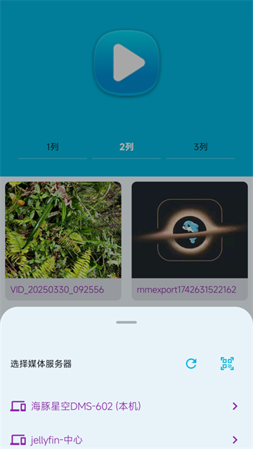 海豚星空投屏app