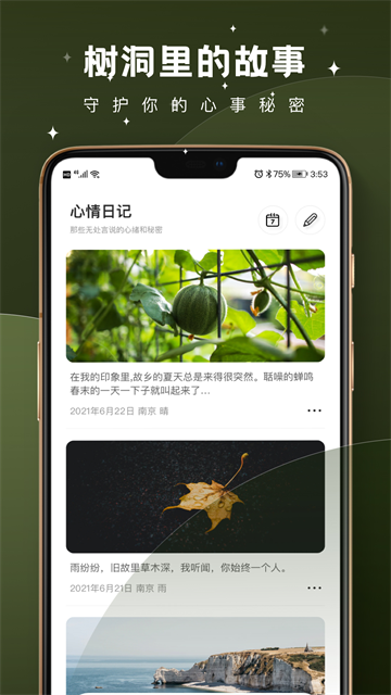 树洞倾述