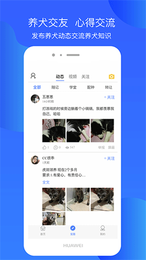 犬卫士app